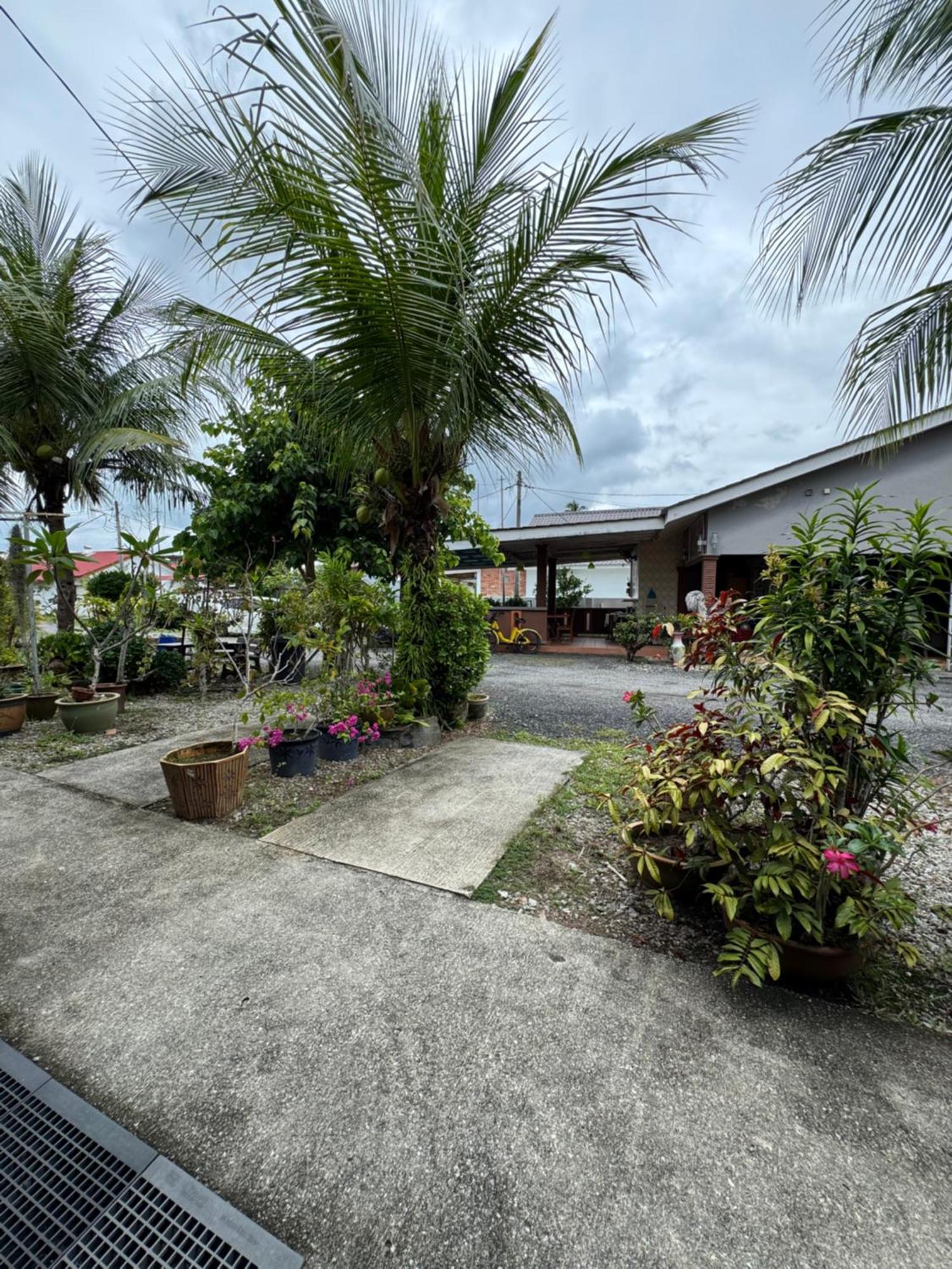 Cenang Room Rahsia Motel Pantai Cenang  Eksteriør billede
